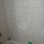 Bathroom Cleaning