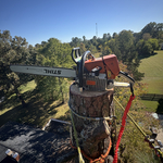 Tree removal