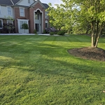Lawn Care