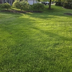 Lawn Care