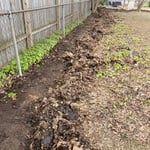 Full lawn clean up