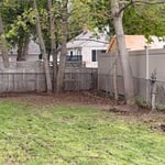 Full lawn clean up