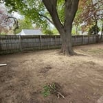 Full lawn clean up