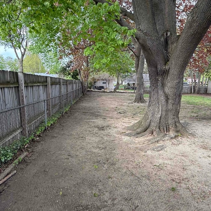 Full lawn clean up