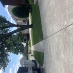 Lawn care