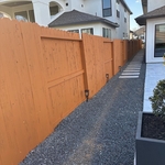 Fence paint
