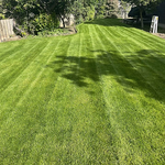 Grass mowed