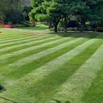 Grass mow