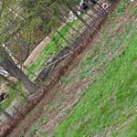 Yard cleanup