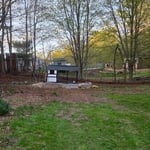 Yard cleanup