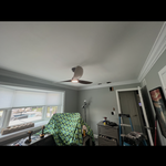Office ceiling fan