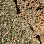 #sewerline