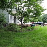 Landscaping Project