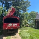Tree Removal