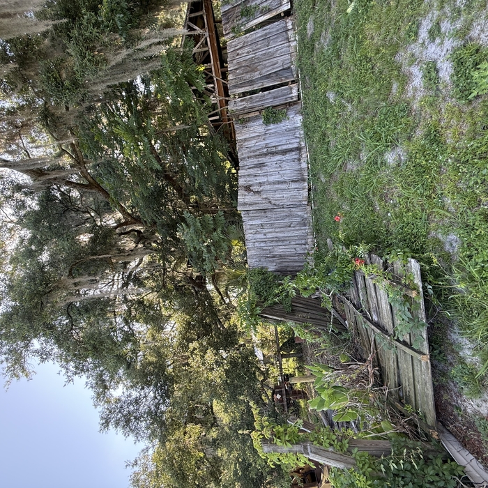 Old fence removal