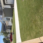 Full yard make over