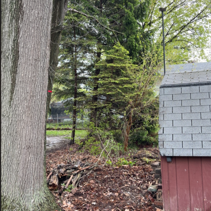 SMALL SHED DEMO