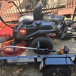 Mowing lawn and trim