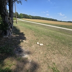 Mowing lawn and trim