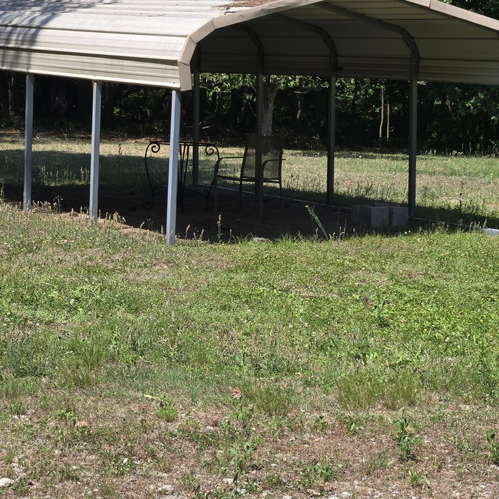 Mowing lawn and trim