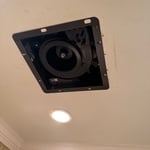 New fan