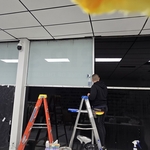 Window Tint