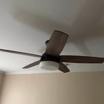 Ceiling replacement