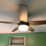 Ceiling replacement