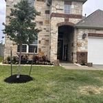 Flower bed