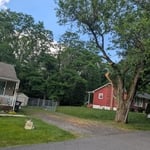 Tree trimming