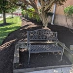 Clean up and mulch