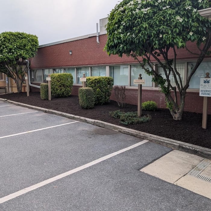 Clean up and mulch