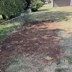 Fenced in garden removal