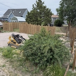 Thorn bush removal