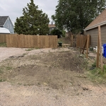 Thorn bush removal