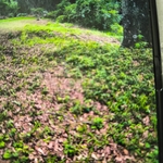 Yard cut