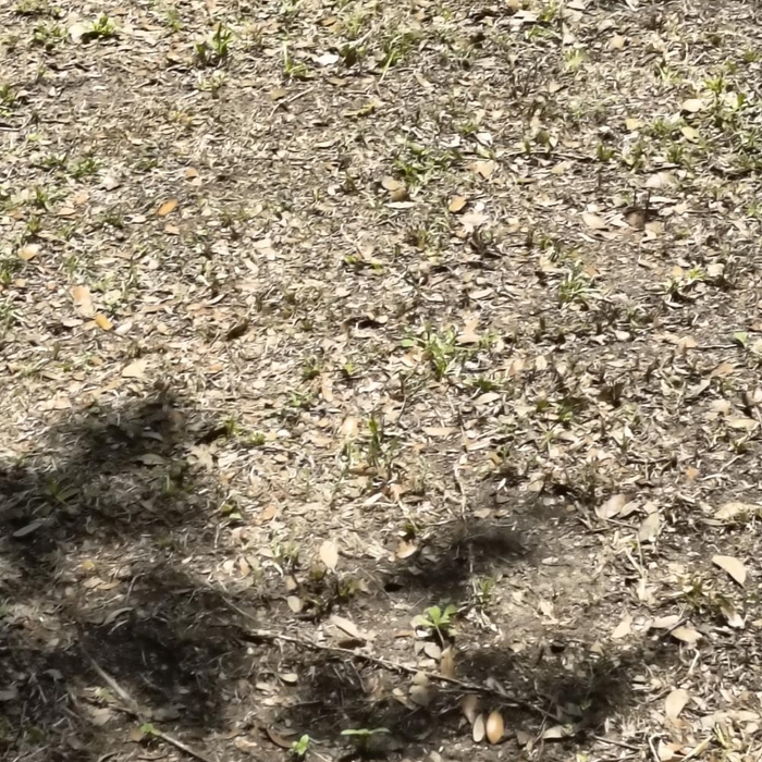 Yard cut