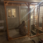 Catio