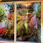 Liner in window well