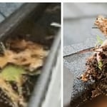 Gutter clean flush