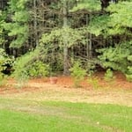 Forestry Mulching