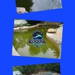 Green to Clean Pool