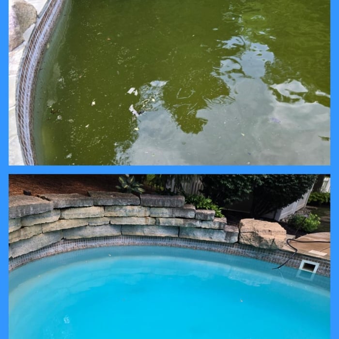 Green to Clean Pool