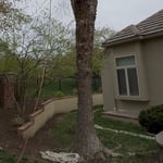 Removing a Tree
