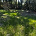 Lawn care