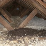 Project Photos