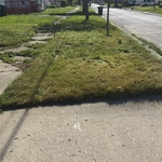 Mowing