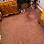 Carpet cleaning