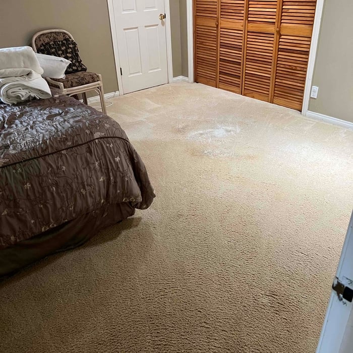 Carpet cleaning