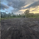 Land Clearing